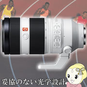 ソニー FE 100-400mm F4.5-5.6 GM OSS SEL100400GM デジタル一眼カメラα [Eマウント]用レンズ