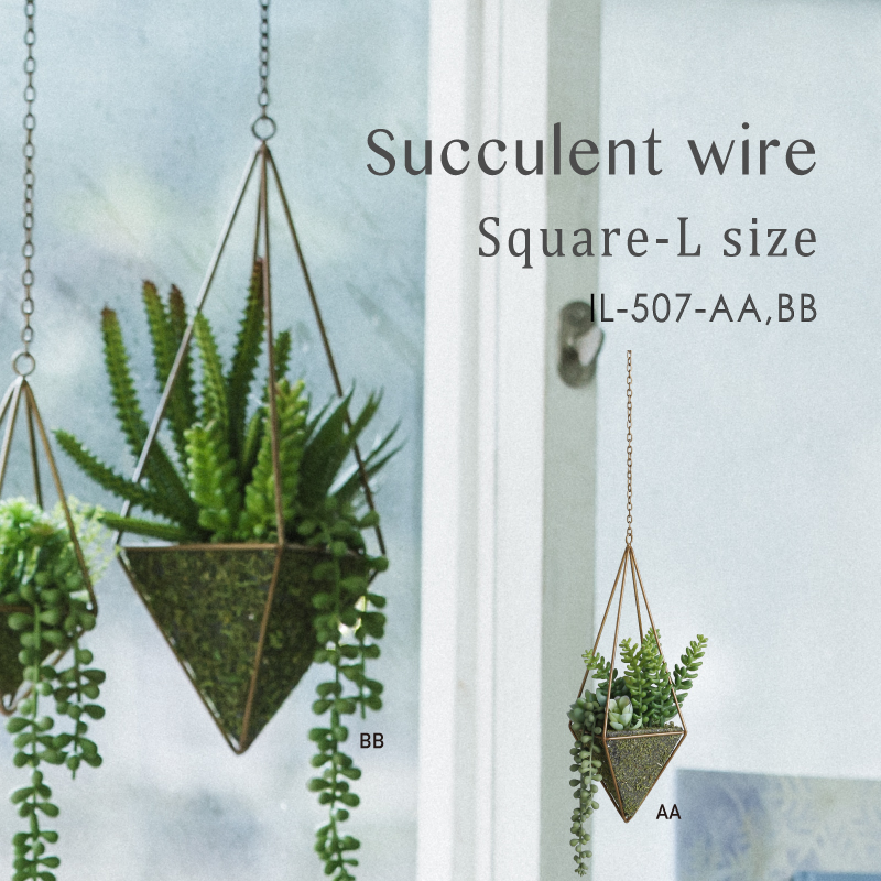 枯れない植物で作る手軽な癒し空間【サキュレントワイヤー・スクエア・L】2種展開