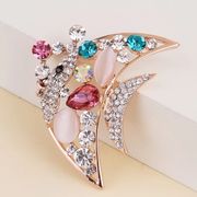 熱帯魚 問屋 仕入れ 卸 卸売の専門 仕入れならnetsea