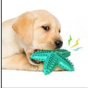 新作 ペット用歯ブラシ 発声おもちゃペット歯を磨く 犬　ペット用品