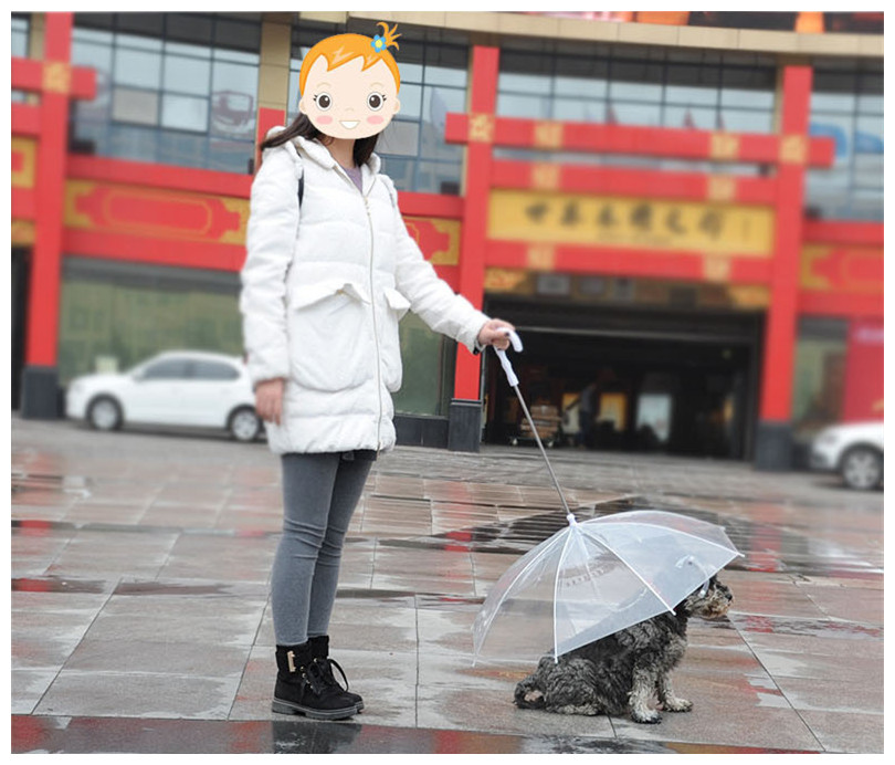 犬 ペット用  ドック　傘リード付き　雨の日にお散歩　小型犬