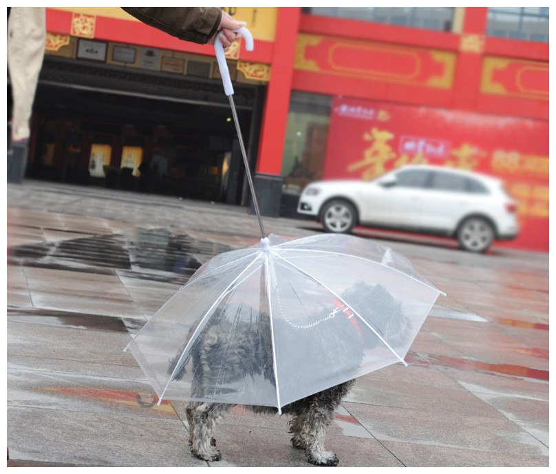 犬 ペット用 ドック 傘リード付き 雨の日にお散歩 小型犬 雑貨 株式会社 ハイスター 問屋 仕入れ 卸 卸売の専門 仕入れならnetsea