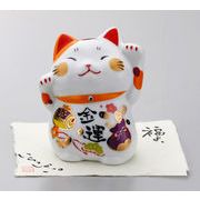 和福猫（金運）