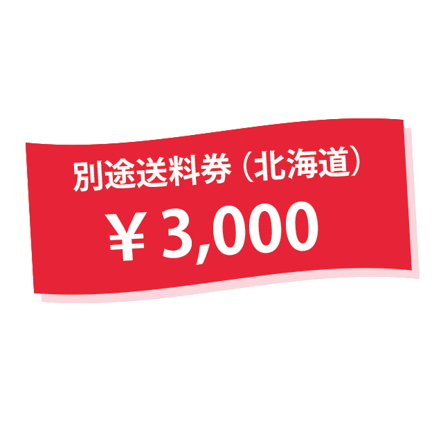 別途送料券（北海道）３０００円