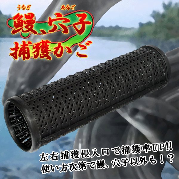 うなぎ筒5本 うなぎ仕掛け コロバシ箱 メルカリ
