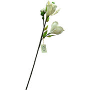 Sola Flower Stem ソラフラワーステム Magnolia Blossom マグノリアブロッサム