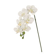 MAGIQ　ファレノミリー　ホワイト　アーティフィシャルフラワー　造花　お正月　胡蝶蘭　ファレノ