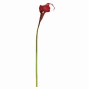 MAGIQ　ヴィンセントカラー S　レッド　アーティフィシャルフラワー　造花　カラー