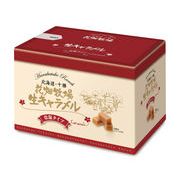 生キャラメルプレーン（常温タイプ）45g