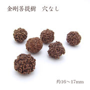 パワーズウッド 金剛菩提樹穴なし 約16～17mm