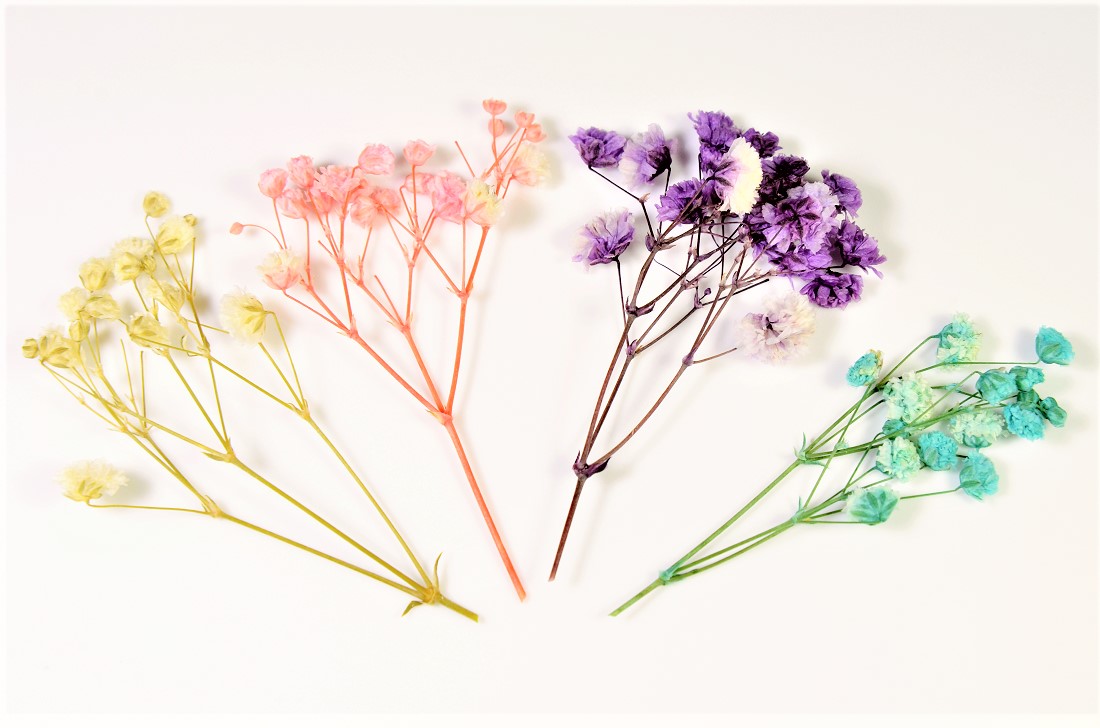 押し花ドライフラワー ガラスドーム充填用フラワー ハーバリウム加工用 トレンドパーツデコパーツ 雑貨 株式会社 ヒロテック 問屋 仕入れ 卸 卸売の専門 仕入れならnetsea