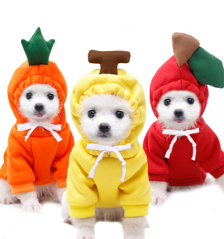 冬新発売　防寒対策 暖かい　ペット服　犬服 ペット用品 ネコ雑貨 ペット雑貨　激安価格