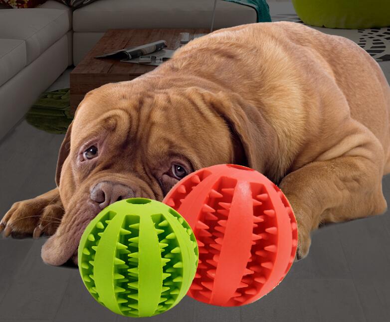 犬用 猫 おもちゃ 噛むおもちゃ ストレス解消 子犬中型犬に適応 歯ボール おもちゃボール 清潔 ゴムボール