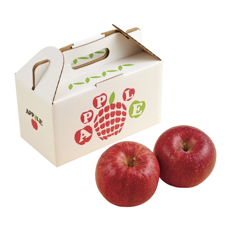 （問題ありで終了）（季節限定 11月～2月上旬） りんご2玉【直送品】
