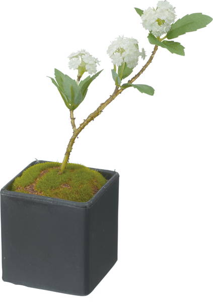 【造花】こでまり盆栽　ホワイト