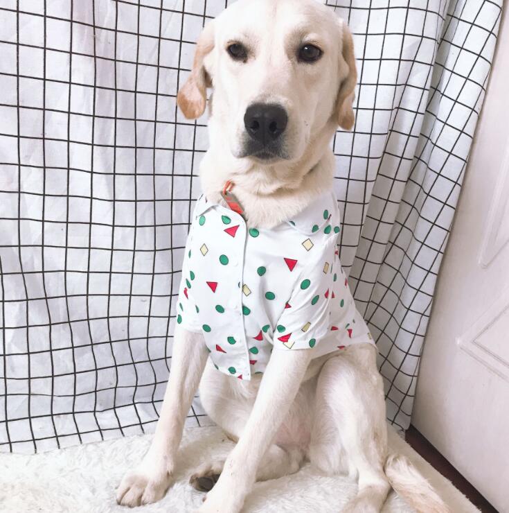 春秋新作 大型犬服 超可愛いペット服 犬服 大型犬用 ペット用品 雑貨 Fafa 問屋 仕入れ 卸 卸売の専門 仕入れならnetsea