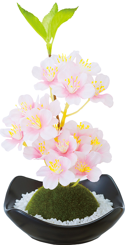 kameyama candle 苔玉フレグランス桜  6個セット ルームフレグランス