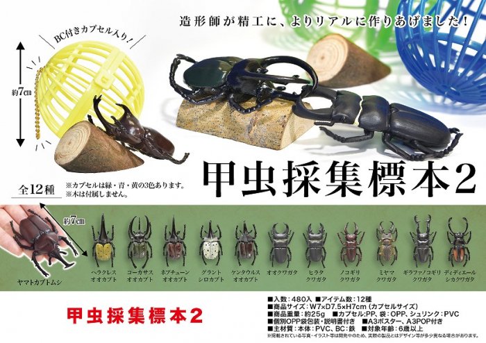12体セット 籠入り 甲虫 フィギュア 採集 標本 昆虫 代引可