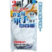 綿混作業用軍手厚手2双組 L【まとめ買い12点】