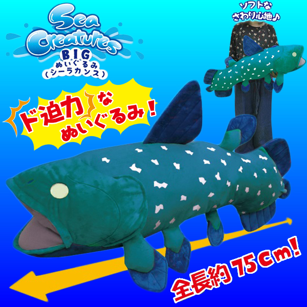 Sea Creatures Bigぬいぐるみ シーラカンス 雑貨 有限会社 ステップス 問屋 仕入れ 卸 卸売の専門 仕入れならnetsea Sea Creatures Bigぬいぐるみ シーラカンス 雑貨 有限会社 ステップス 問屋 仕入れ 卸 卸売の専門 仕入れならnetsea