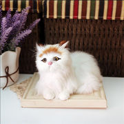 トレンド感をマーク 洗練された シミュレーション 猫 動物 装飾 モデル かわいい  装飾 写真 小道具