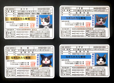 なめ猫 免許証05 ドラ吉 キャラクターステッカー 懐かし 80年代 なめ猫 ...