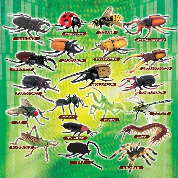即納最新品昆虫立体パズル　4Dパズル 昆虫 DX20個セット 知育玩具