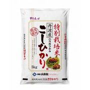 【送料無料】米 お米 精米　令和4年産特別栽培米　丹波産コシヒカリ5kg
