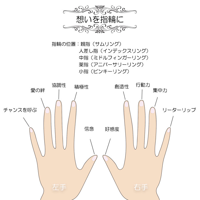 リング 指輪 マリッジリング ステンレスリング ペアリング 7～22号 結婚指輪 ブライダル【国内即納】｜AXIA  PLUS株式会社【NETSEA】問屋・卸売・卸・仕入れ専門