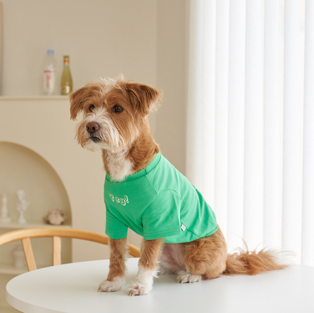 秋 猫服 可愛い ファッション 小中型犬服 犬猫洋服 ペット用品 ドッグウェア 猫雑貨 Tシャツ 雑貨 香山 株式会社 問屋 仕入れ 卸 卸売の専門 仕入れならnetsea