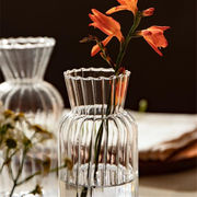 ガラス 透明な リビングルーム ミニ 装飾 INSスタイル シンプル 小さな花瓶