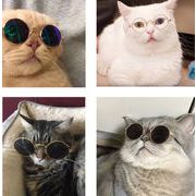 雑貨　ペット用品　猫　飾り物　メガネ　サングラス　日焼け止め