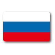 SK233 国旗ステッカー ロシア RUSSIA 100円国旗 旅行 スーツケース 車 PC スマホ