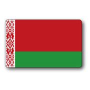 SK258 国旗ステッカー ベラルーシ BELARUS 100円国旗 旅行 スーツケース 車 PC スマホ