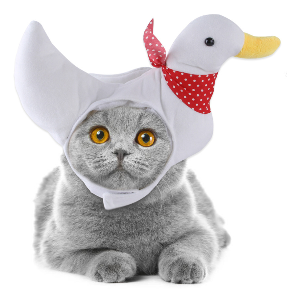ペット服 ハロウィン クリスマス かわいい 面白い コスプレ 変装 犬 猫 ペット用品 帽子