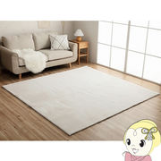 ホットカーペット 長方形 イケヒコ ラグマット カーペット 絨毯 床暖房対応  スノーホワイト IKE-39877