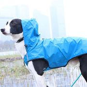 犬のレインコートペットのレインコート防水簡単に着脱できる美しいテディゴールデンレトリバーハスキー