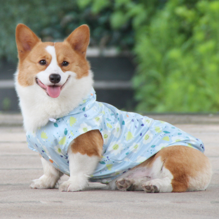 2022年春の新しいペットライトレインコート中小犬防雨通気性犬服フォーシーズンズ