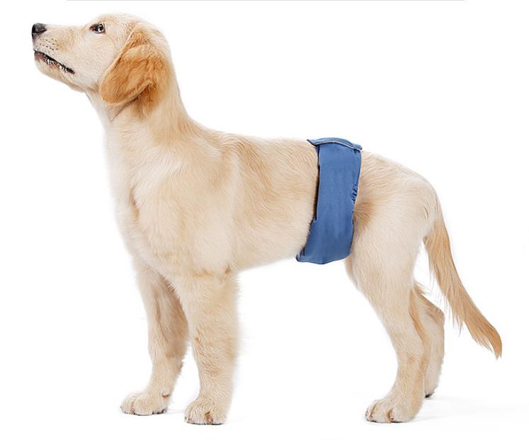 ペット用品 安全パンツ ペットの犬のための生理学的パンツ