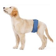 ペット用品 安全パンツ ペットの犬のための生理学的パンツ