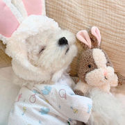 Ins新しい韓国のウサギのリスはかわいいペットのおもちゃを伴って眠っていますペットの響きのおもちゃ