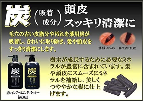 純 トップ 薬 炭 シャンプー