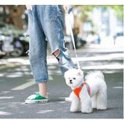 犬用リードベストチェストハーネス、小型犬の散歩犬猫リード、壊れないペットの鎖を防ぐために出かける
