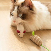 ペットのおもちゃ、新しい猫の噛むおもちゃ、小さなネズミ人形、環境にやさしい小さなおもちゃ
