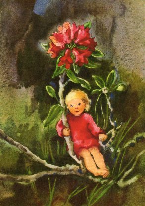 ポストカード アート ウェーバー「小さな高山のバラ」名画 郵便はがき