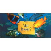 ロングポストカード サマーカード「もしかして入浴中？」カラー写真 暑中見舞い 熱帯魚 海