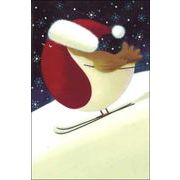 ミニカード クリスマス「スキーをする鳥」メッセージカード