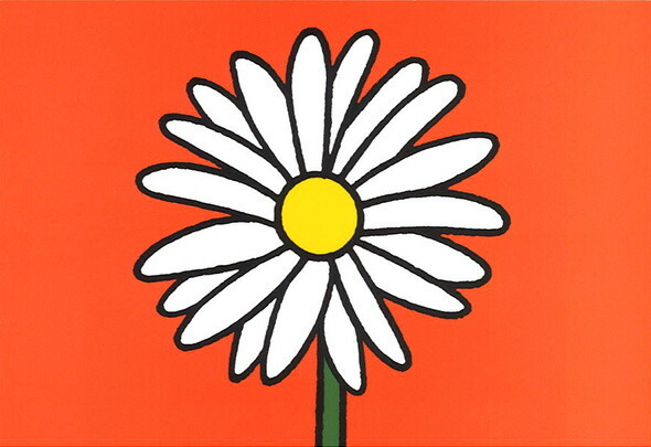 ポストカード ミッフィー/ディック・ブルーナ「マーガレット」イラスト 絵本 白い花 フラワー