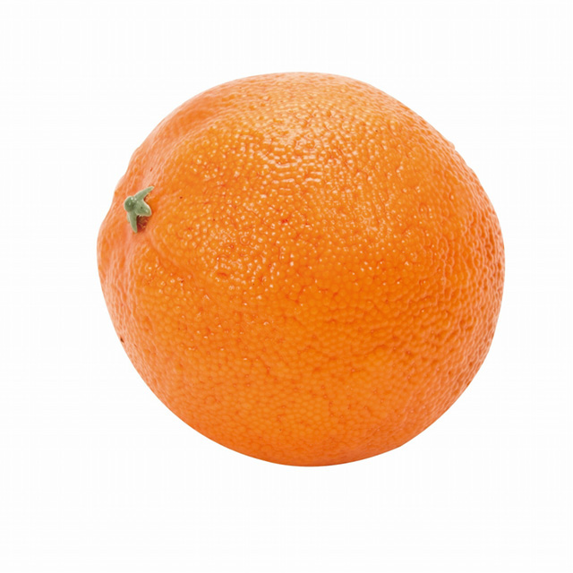 MAGIQ　オレンジ　オレンジ　アーティフィシャル　果物