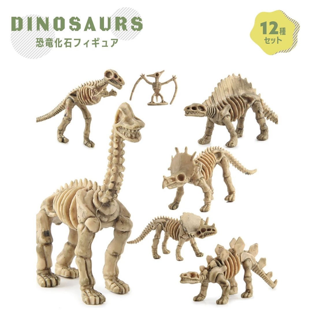 玩具 恐竜 骨 フィギュア 12種類セット 模型 ティラノサウルス